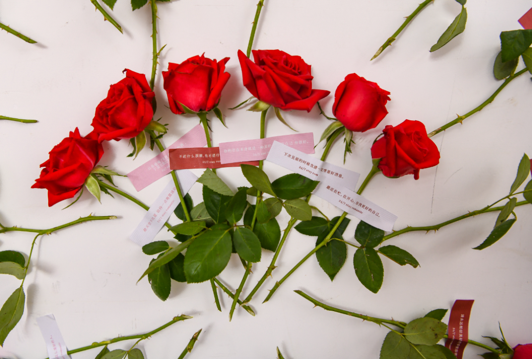 Ding~ You’ve got a Qixi surprise waiting to be unwrapped!